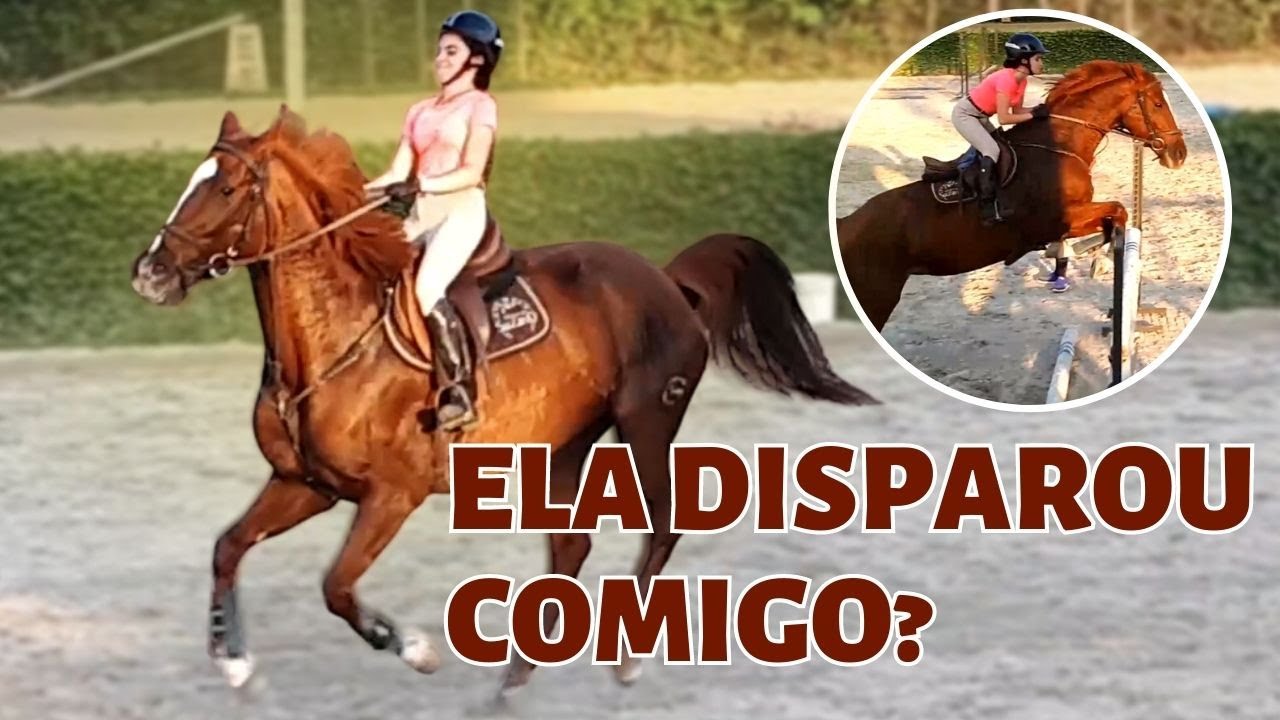 O QUE FAZER QUANDO UM CAVALO DISPARA - Treino de Hipismo