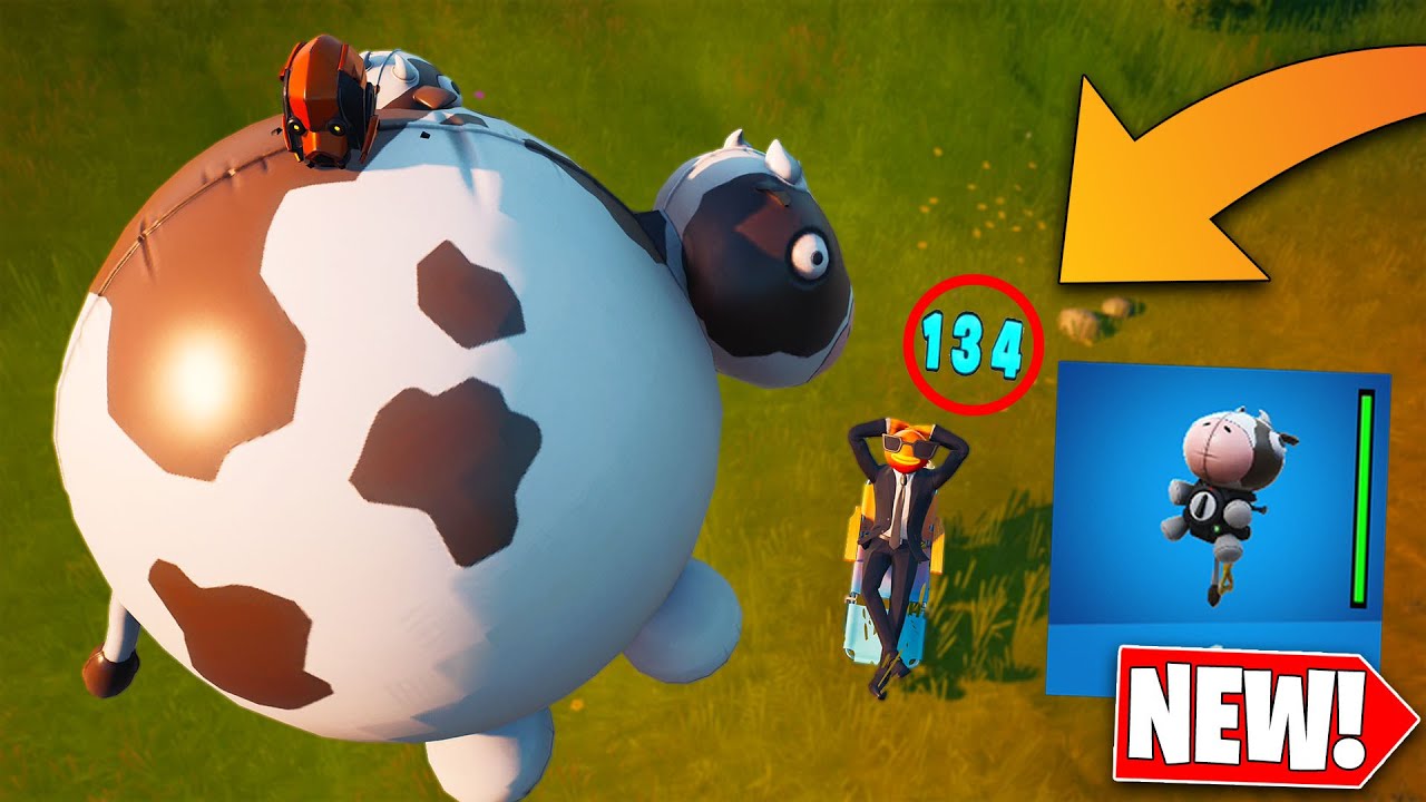 INFLATE-A-BULL... 😳
