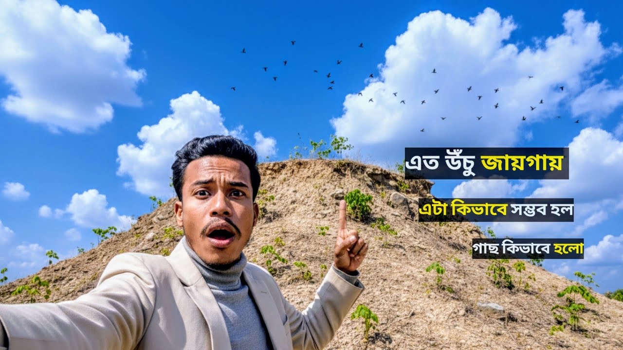 গুছা মাটির ওপর দাঁড়িয়ে আছে বিশাল গাছ! 🌳 নিচ থেকে অদ্ভুত দৃশ্য | Amazing Nature | Rakib Vai Vlog