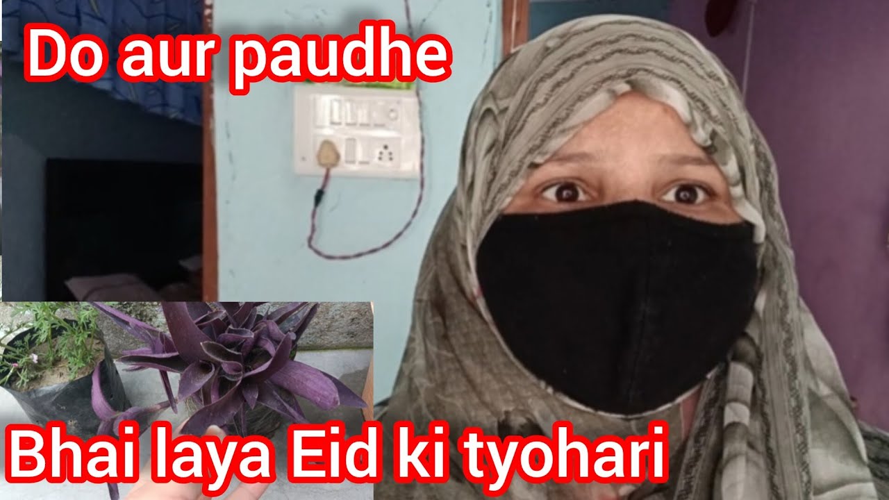 Bhai laya Eid ki tyohari do aur paudhe # sahiba khan# daily vlog #family vlog full vlog thanks for w
