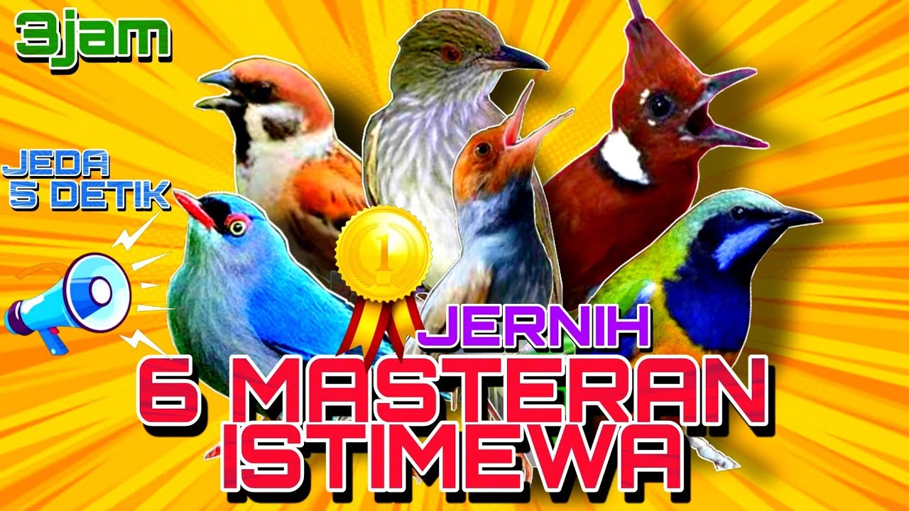 🔴Masteran Untuk Burung Lomba |Terbukti Ampuh Langsung Nyaut |Full 3Jam Jeda 5Detik#6Masteranistimewa