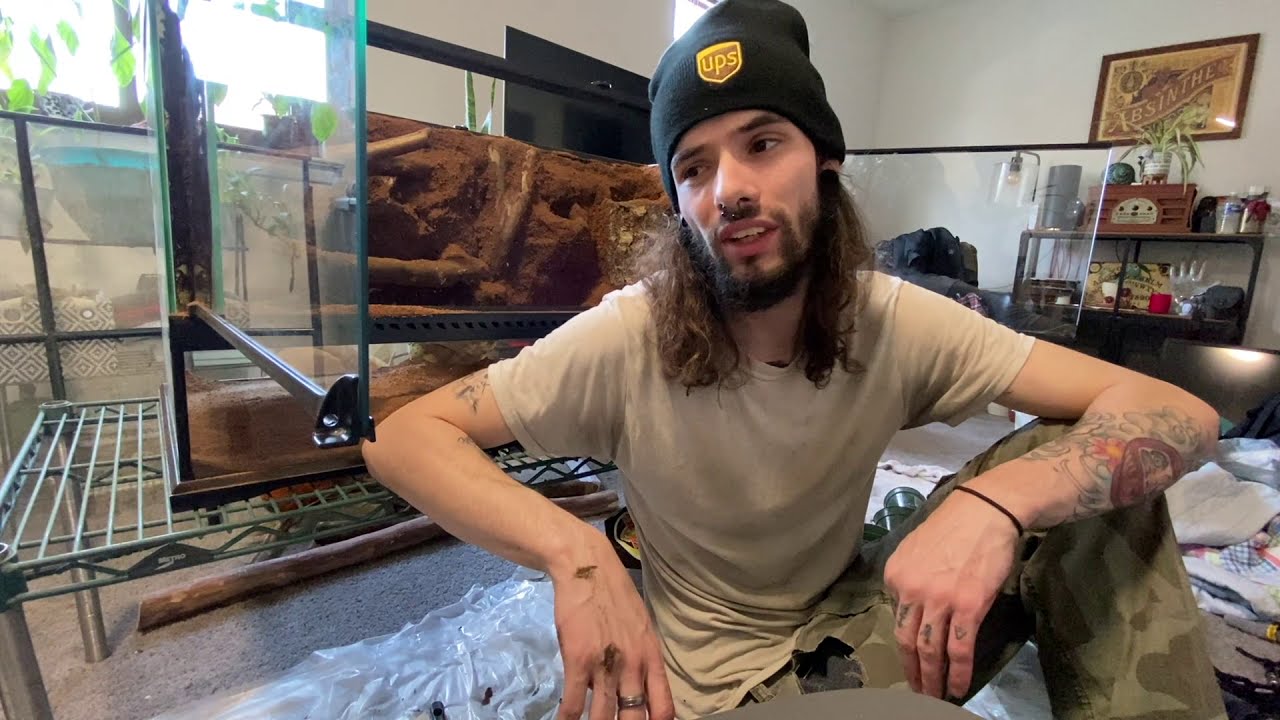 HOW TO: BIOACTIVE | HOW TO BUILD A BIOACTIVE REPTILE ENCLOSURE PART 1