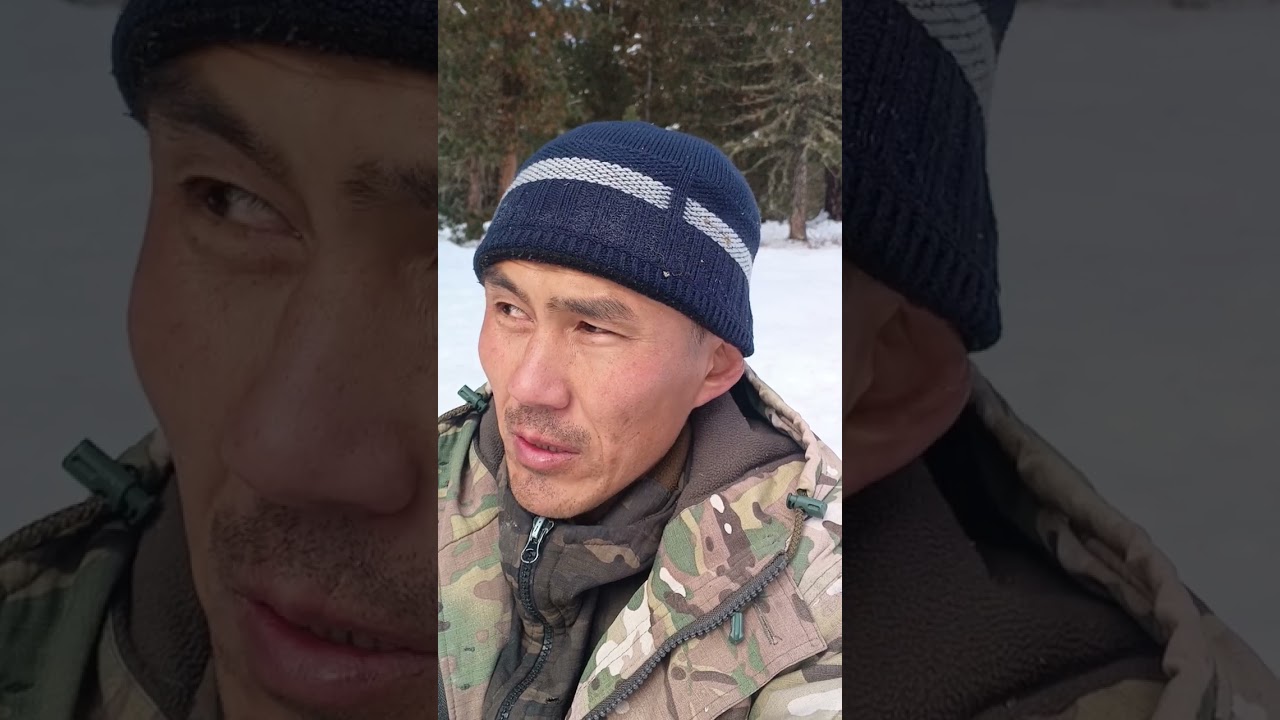 собираю тушкун