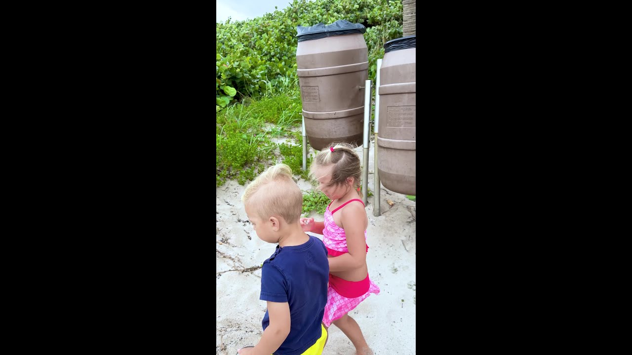 Cute Beachside Adventures: Exploring the Shore. What do you like to discover on the shore?