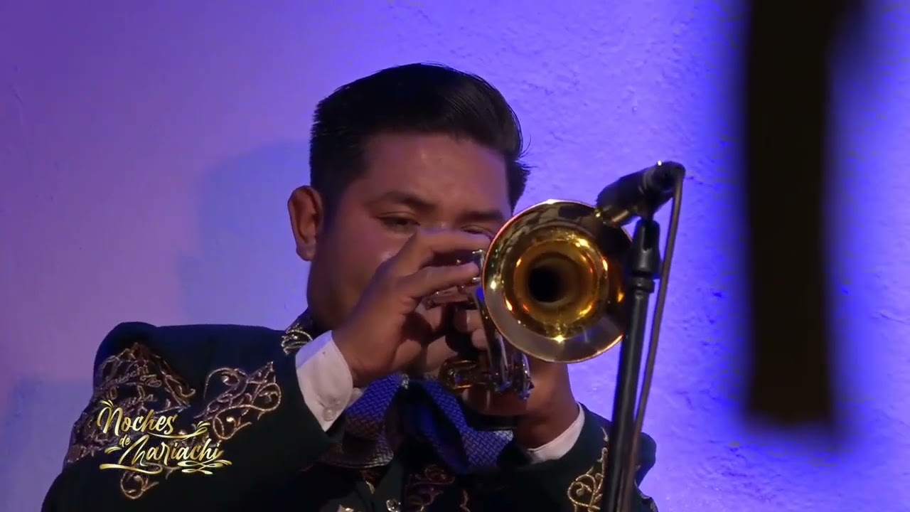 Ojitos Traidores-Mariachi Nuevo Tamazula