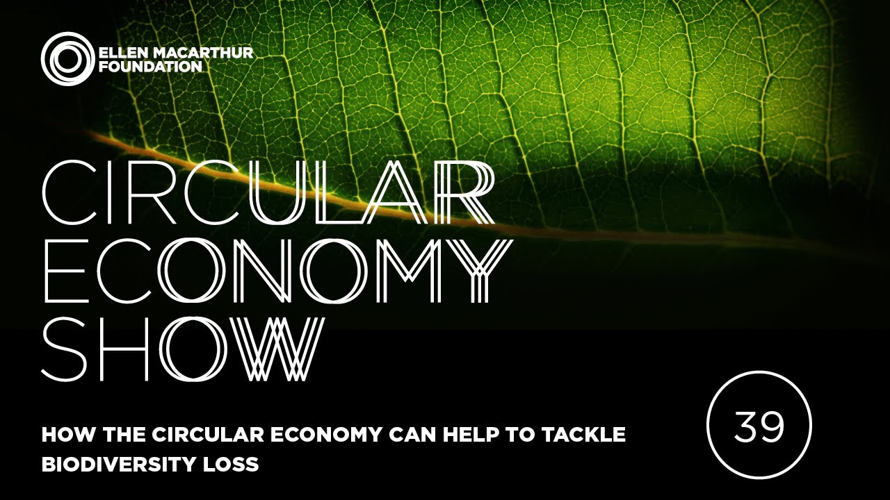 How the circular economy can help to tackle biodiversity loss