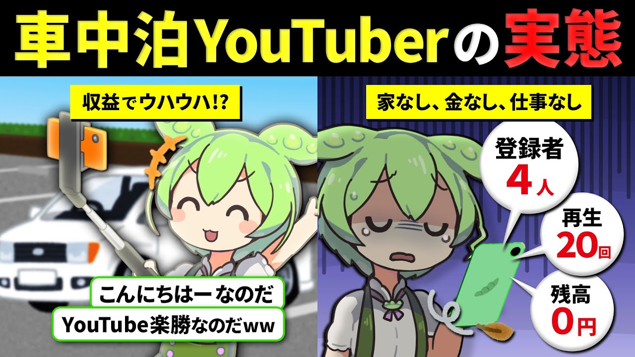 【バンライフの闇】「好きなことで生きていく！」→月15万円の生活費と社会的信用を失う現実を知り絶望したずんだもん【車中泊】