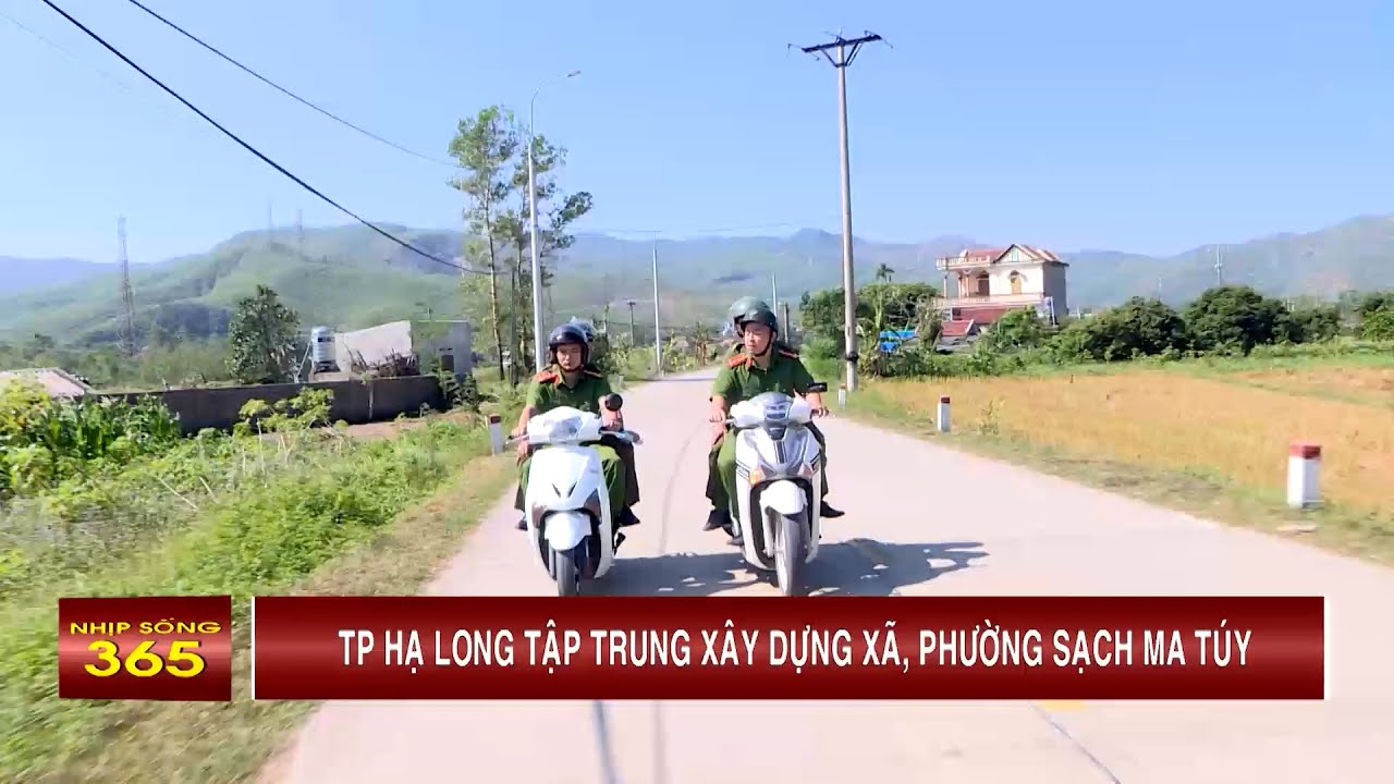TP Hạ Long tập trung xây dựng xã, phường sạch ma túy