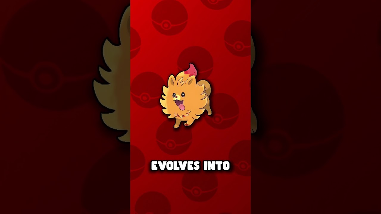 Pombon's Final Evolution is INSANE 🔥