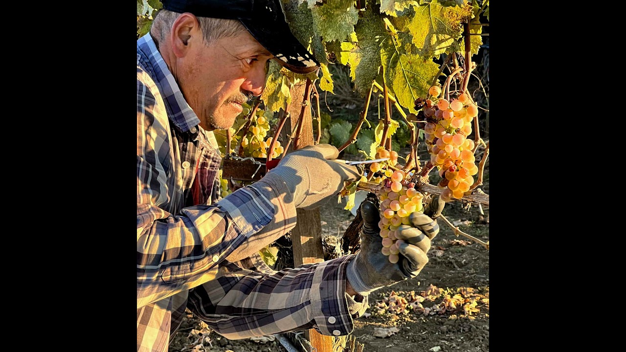 Troon Talk Conversations with Garett Long,  Biodynamic Soil Scientist