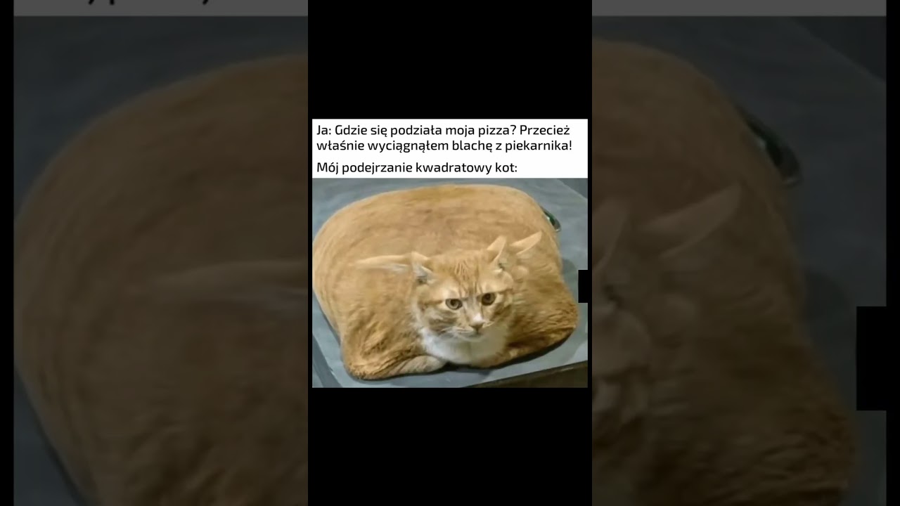 Śmieszne Memy #74