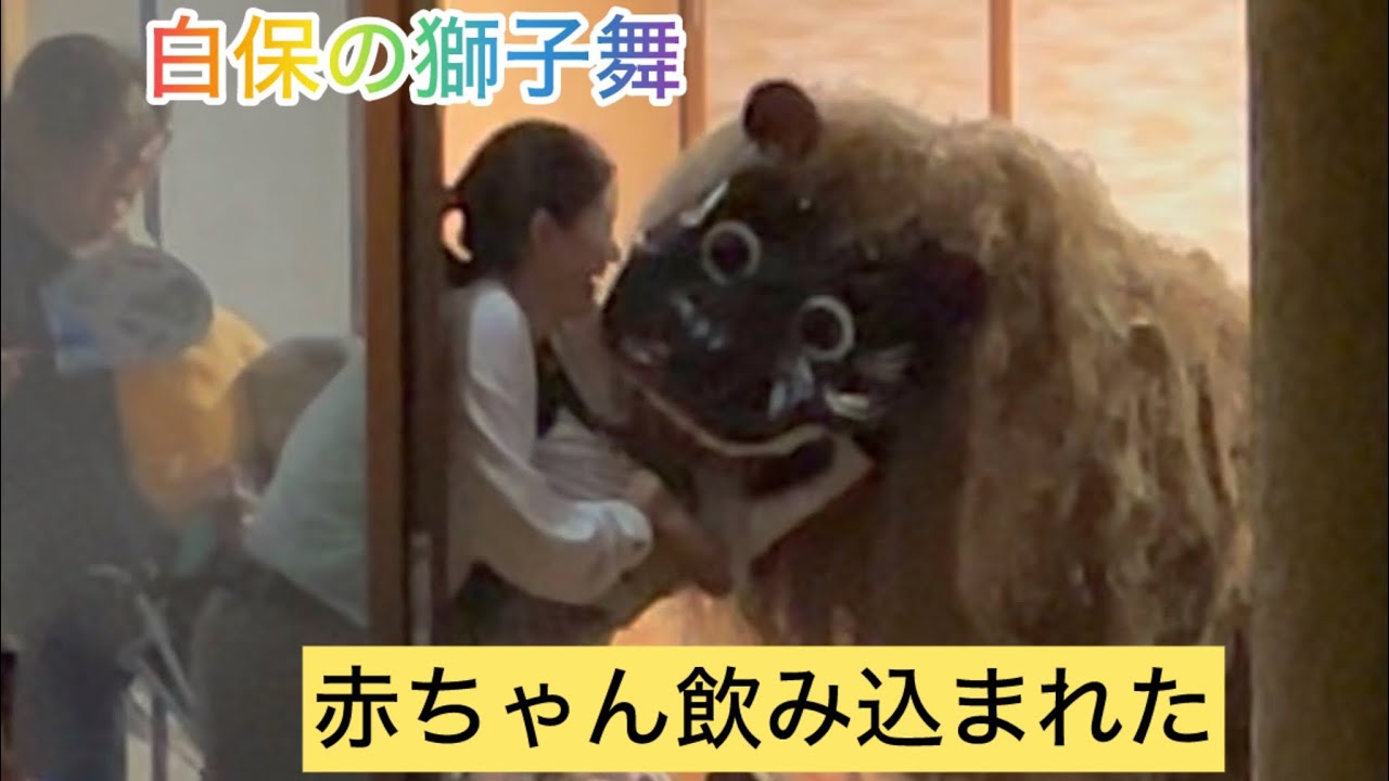 旧盆の白保獅子舞を見てきました