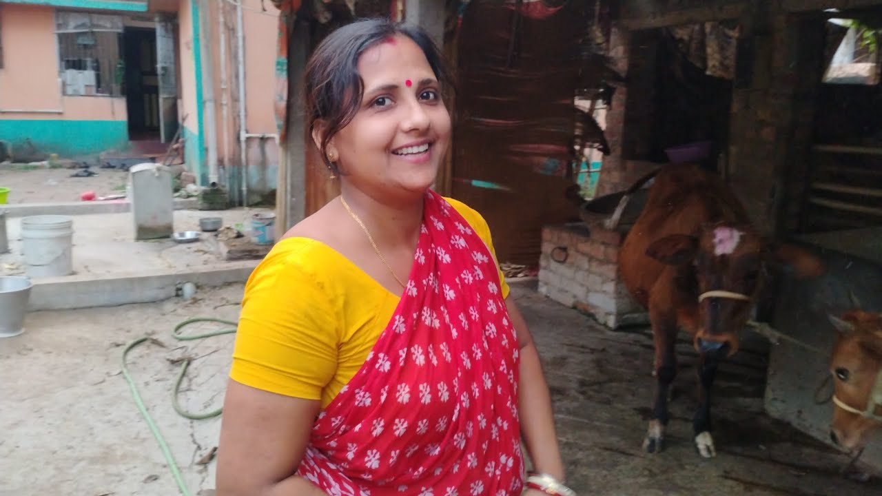 তোমরা কেমন আছো সবাই। আজ দুধ দোহনের কাজ হবে না 🙏# villagelife #cowsvideo#jayashreedas2018 