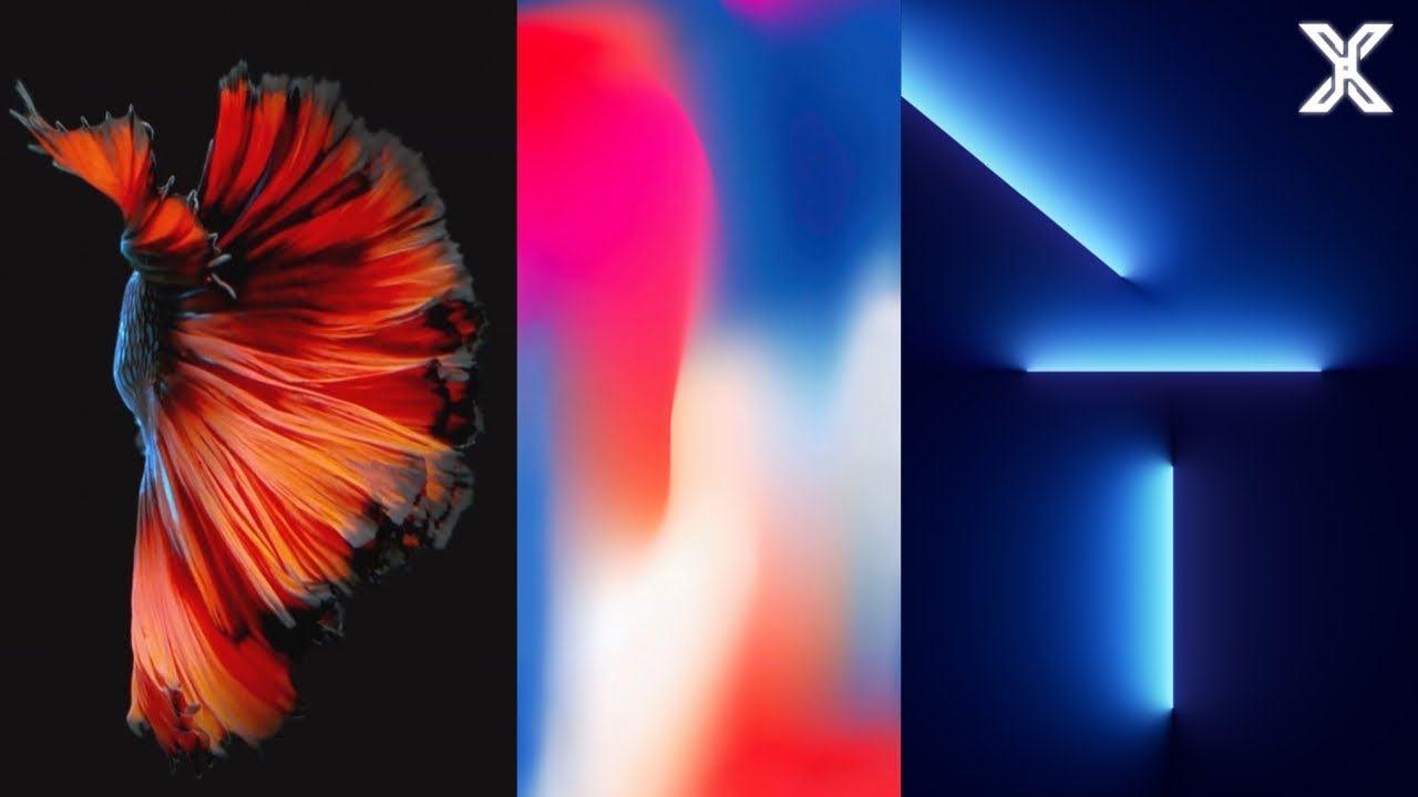iPhone Live Wallpapers Evolution 🔥