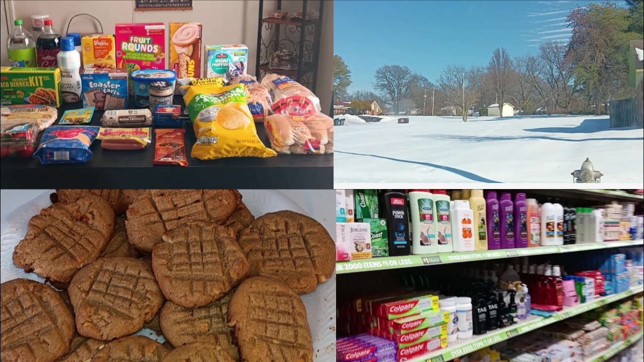 ICED IN| THE CITY IS SHUT DOWN| ALDI HAUL| DOLLAR GENERAL SHOP & HAUL| I BAKED PEANUT BUTTER COOKIES