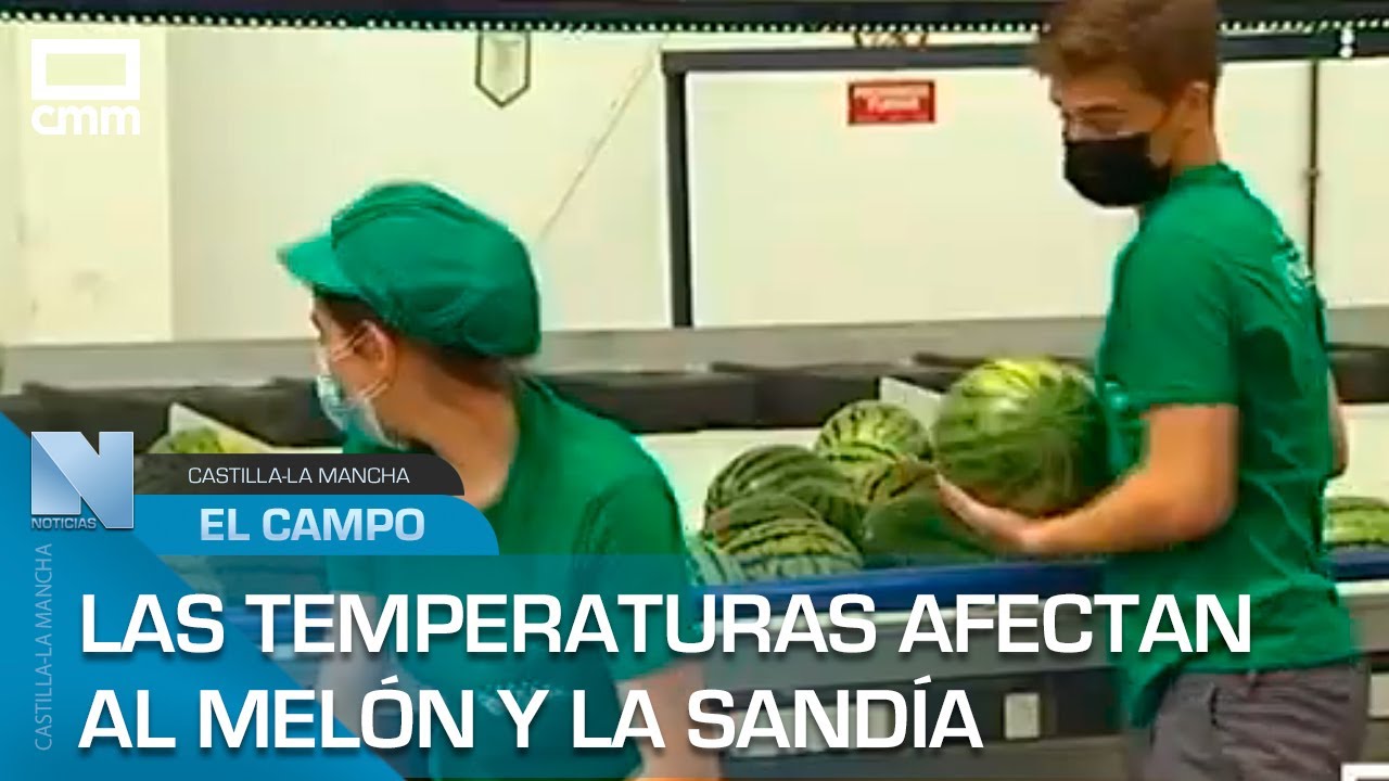 El Campo | Las temperaturas afectan al mercado del melón y la sandía