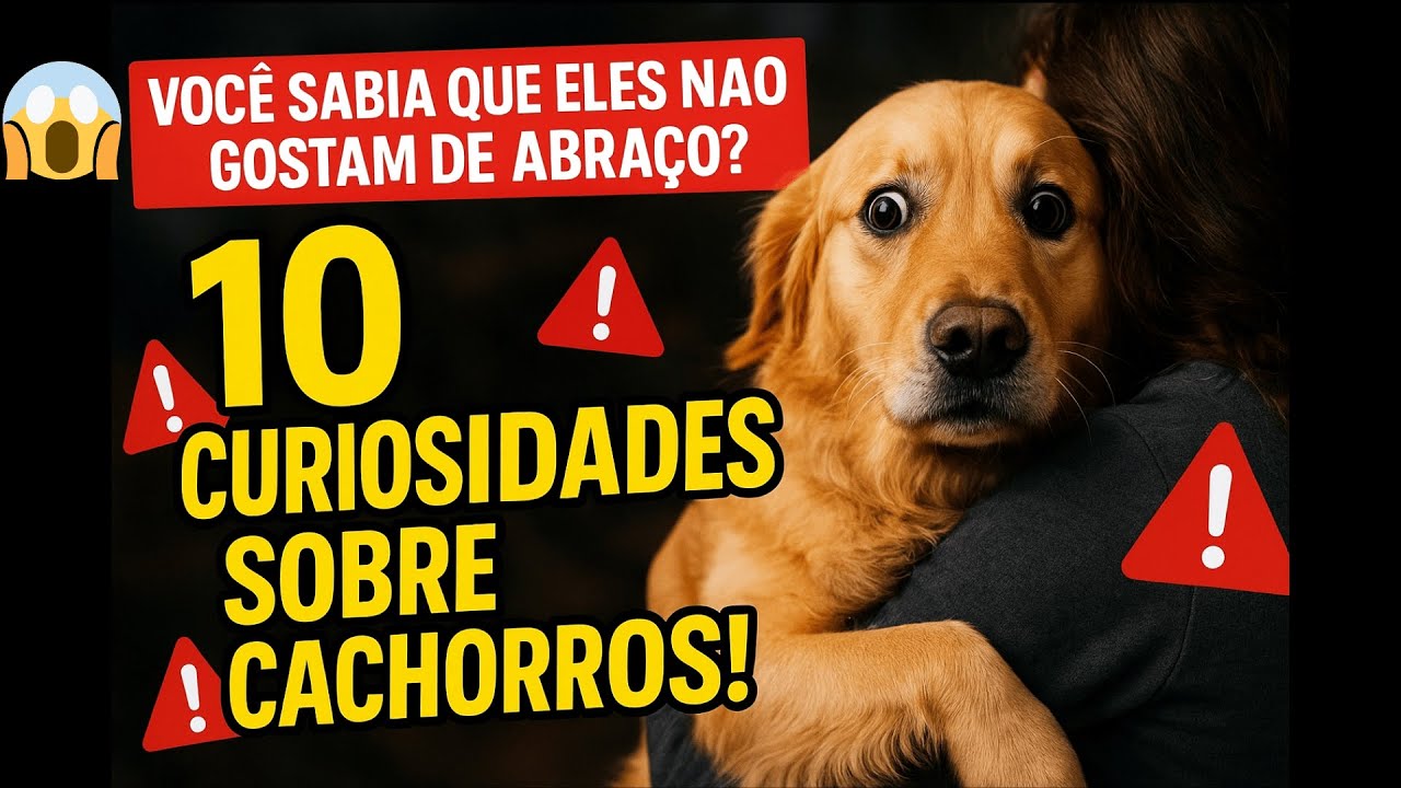 Se Você Abraça Seu Cachorro, Precisa Ver Isso AGORA! #pets #curiosidades
