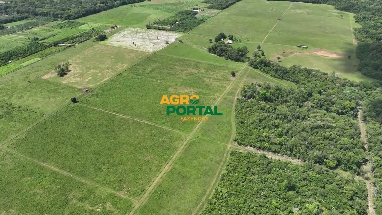Fazenda à venda no Pará - 319 hectares na Região de Castanhal | Santa Isabel | Santo Antônio do Tauá