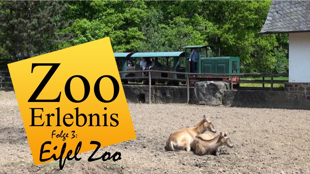 Eifel Zoo - Zoo Erlebnis #3