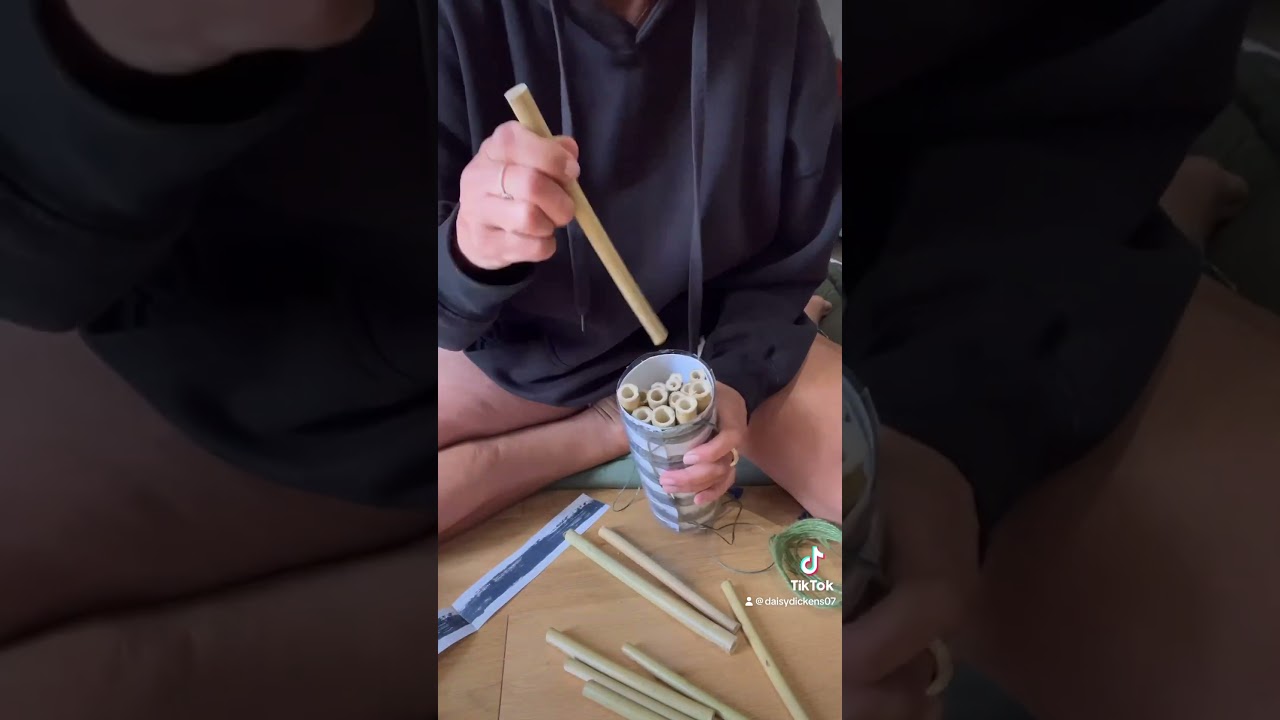 PART 1- How I made Bee Hotel 🐝