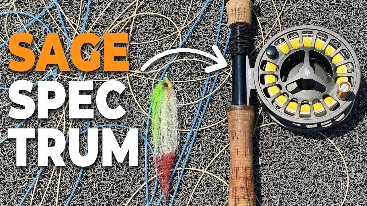 Carretilhas de Fly SAGE SPECTRUM | Apresentação e Review