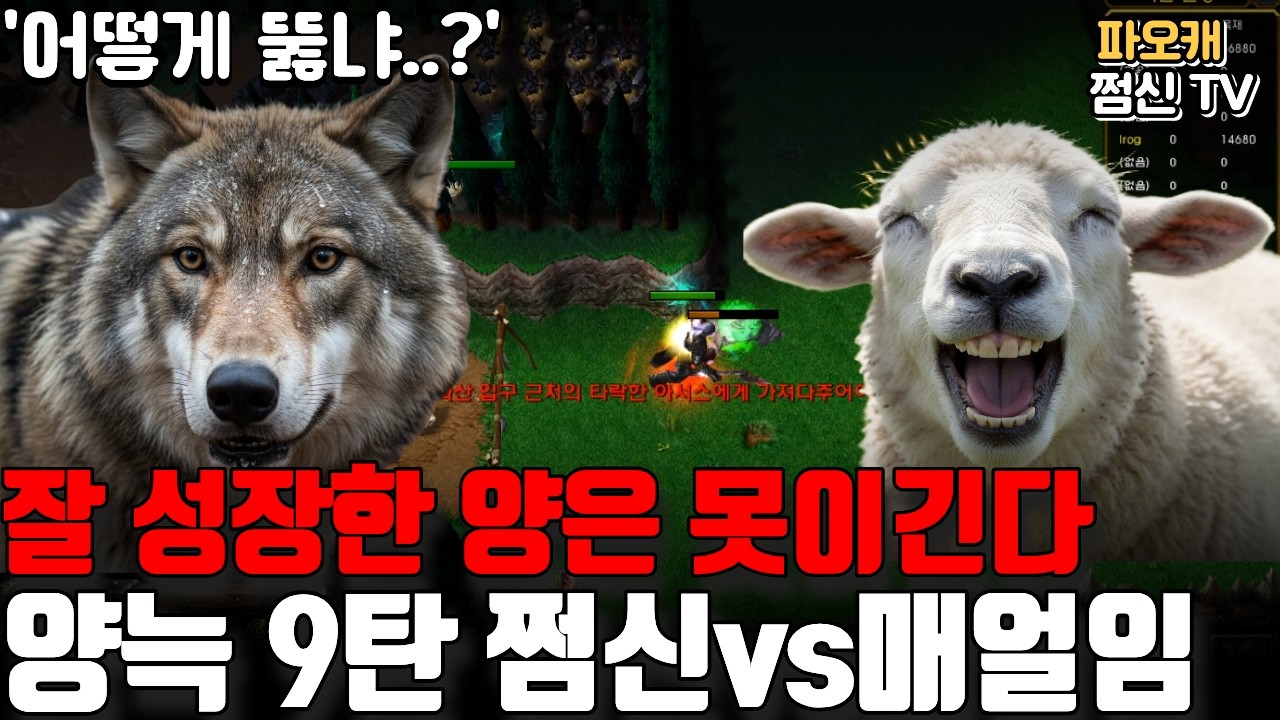 쩜신 유즈맵 [양과늑대 9탄] '잘큰 양은 늑대가 못이긴다'