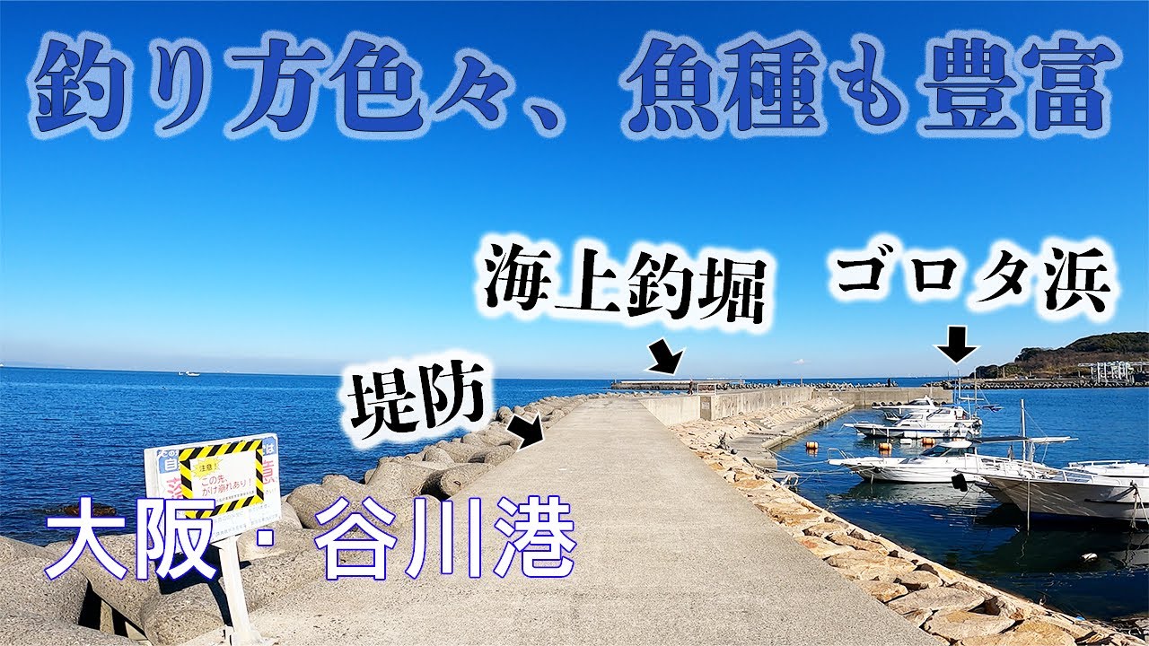 【釣り場動画#51】色んな釣りが楽しめる大阪の谷川港、ゴロタ浜や海上釣堀、ファミリーでも楽しめる人気の港（サビキ・エギング・根魚）