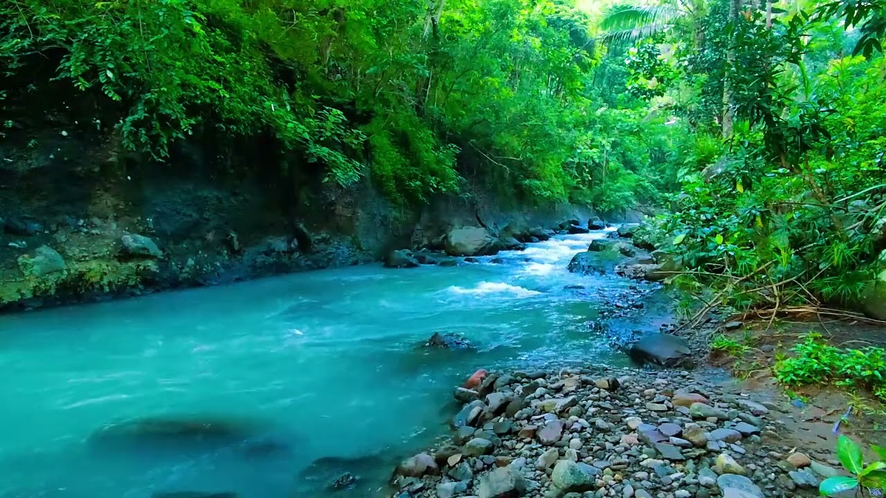 Fall Asleep - Soothing Water Stream Sounds and Gentle River Flow