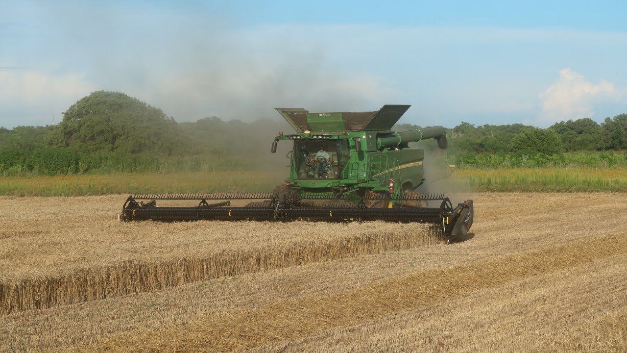 Cutting 100 Bushel Wheat In Central Texas
