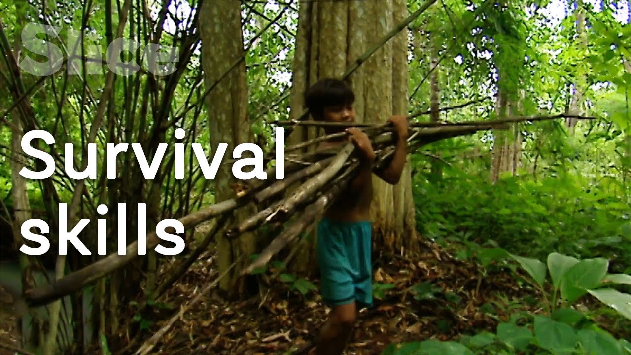 Vietnamese forest experts | SLICE