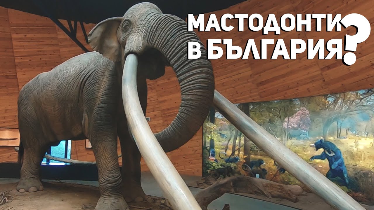 Скрити истории: Плиоценският парк в Дорково