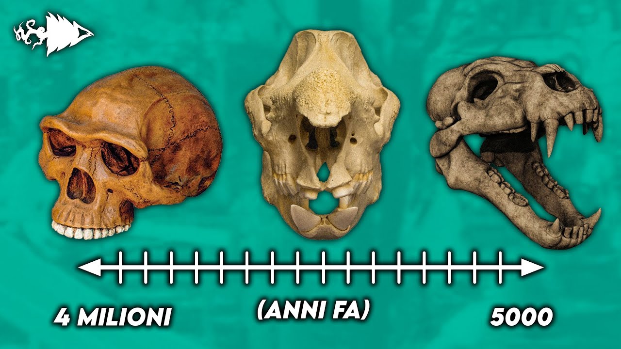 La STORIA dell'HORROR: dalla PREISTORIA al NEOLITICO - Parte 1-  Sottobosco | Jematria