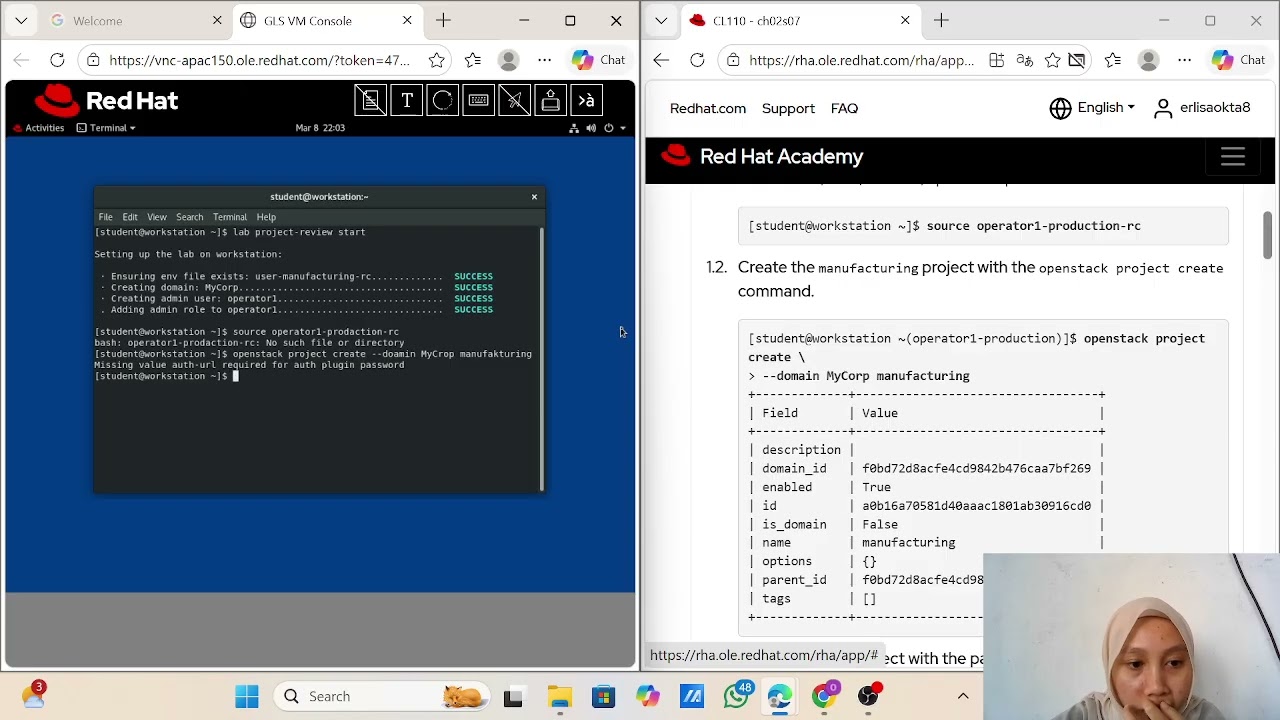 Lab 2 :  Managing Application Projects in a Multitenant Cloud