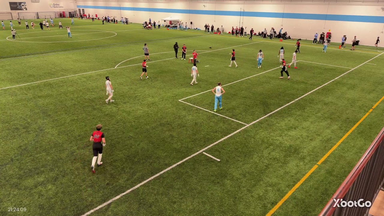 Sanford vs neb