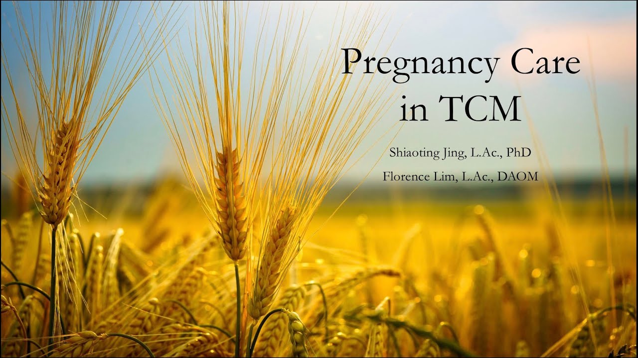 Pregnancy Care in Traditional Chinese Medicine & Superfoods for a Healthy Pregnancy