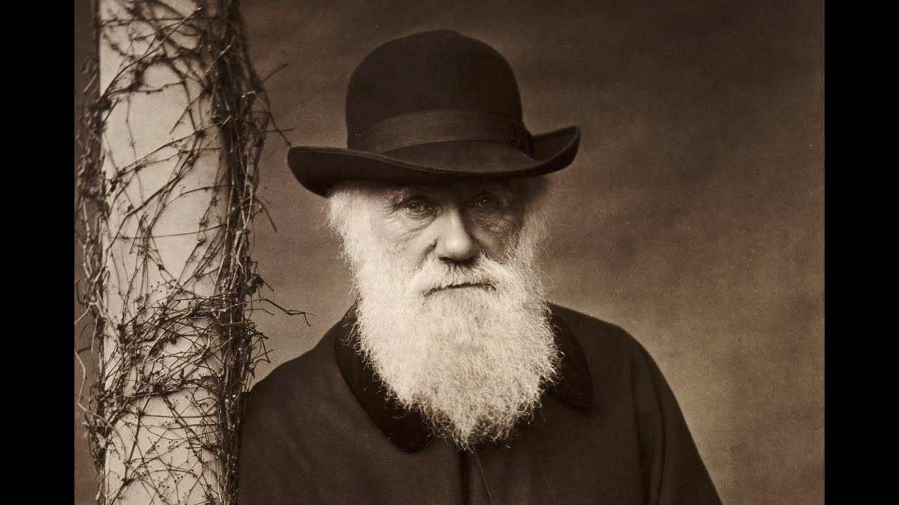 Charles Darwin, estava certo?