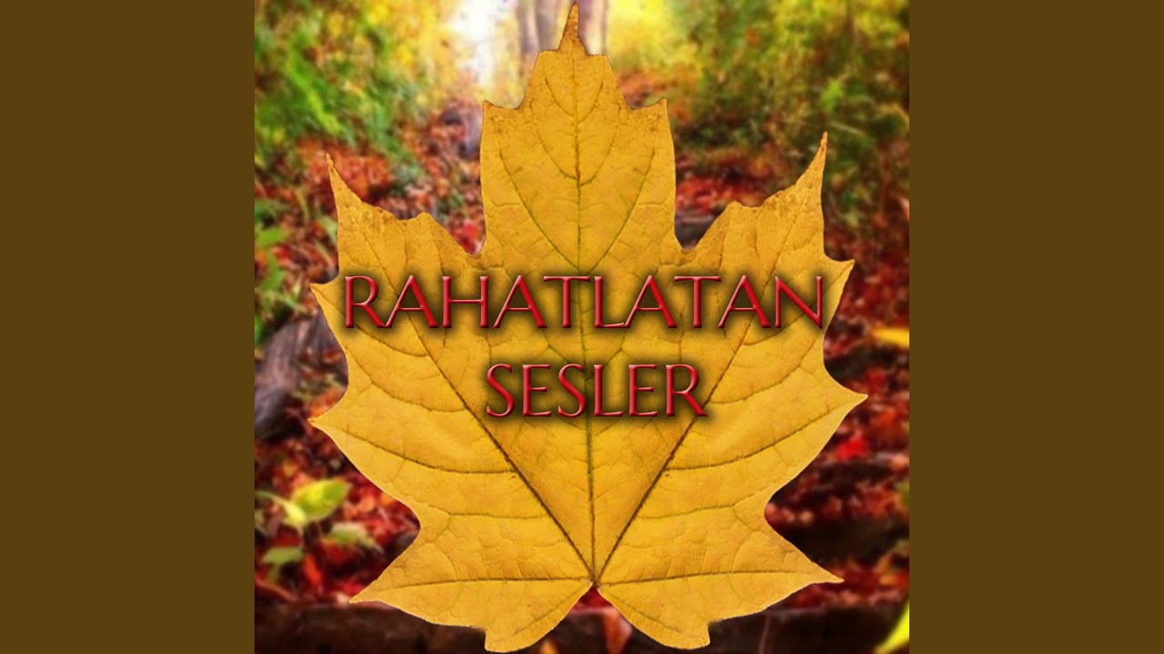 Rahatlatıcı Su Sesleri