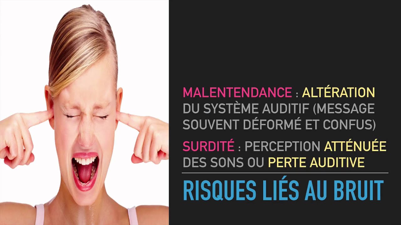 Risques auditifs et surdit&eacute;s