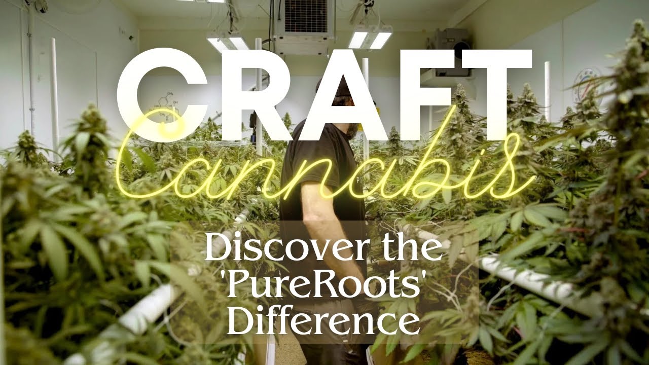 Small-Batch Craft Cannabis | Discover the PureRoots Difference