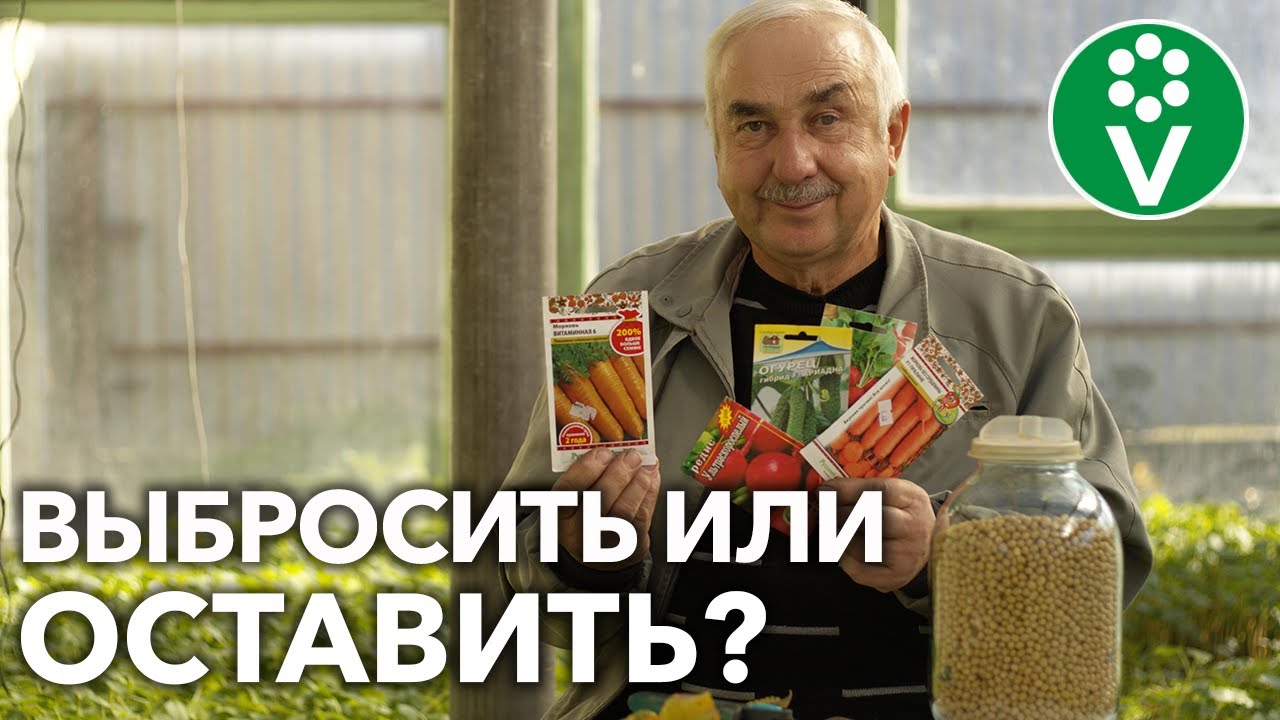 ПРОВОДИМ РЕВИЗИЮ СЕМЯН! Изучаем срок годности, сортируем и храним ПРАВИЛЬНО!