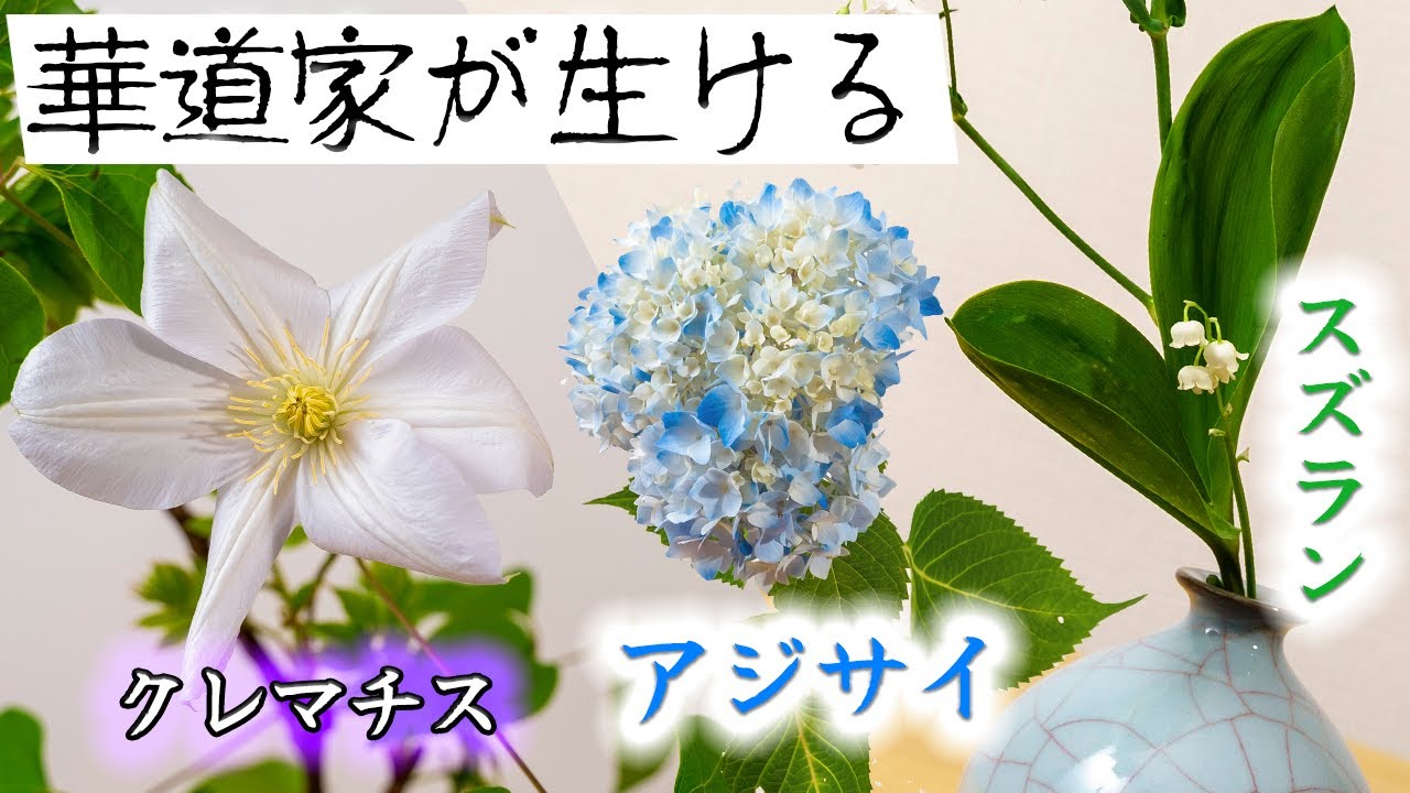 アジサイ・クレマチス・鈴蘭など可愛い花をプロが生けるとどうなるのか？│心安らぐ生け花7選