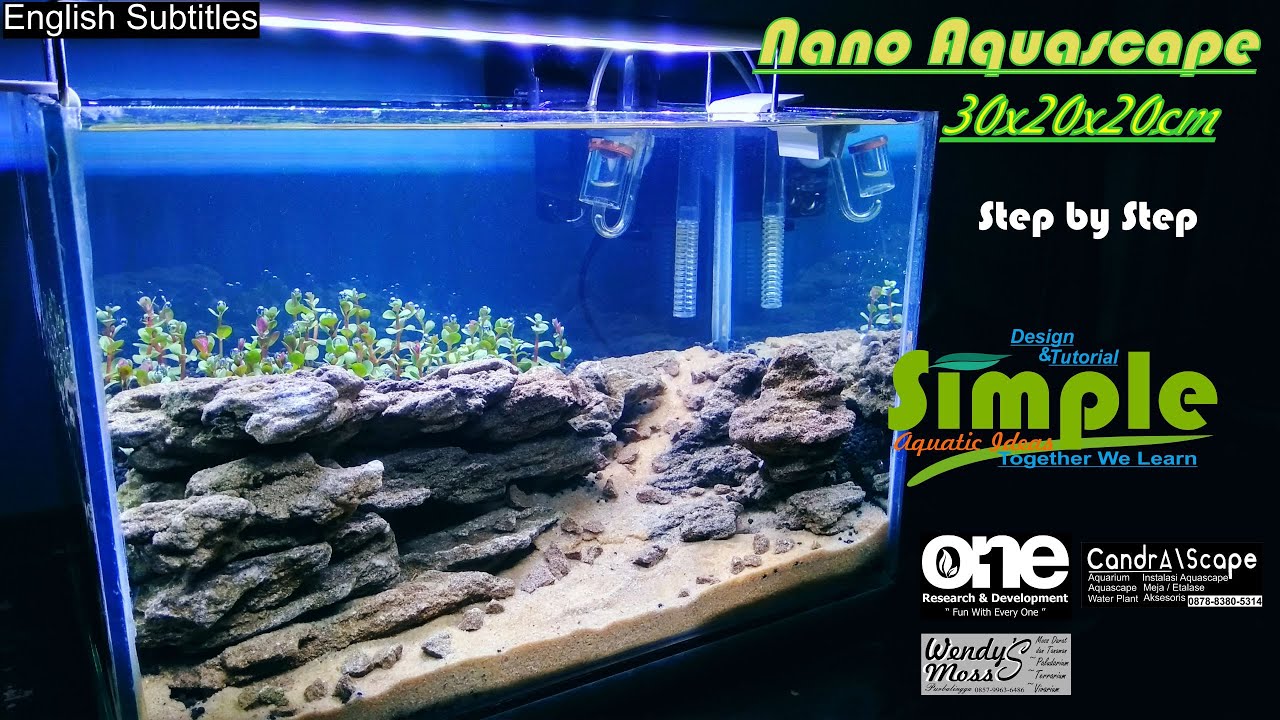 Step by step nano aquascape semi natural 30 cm #39