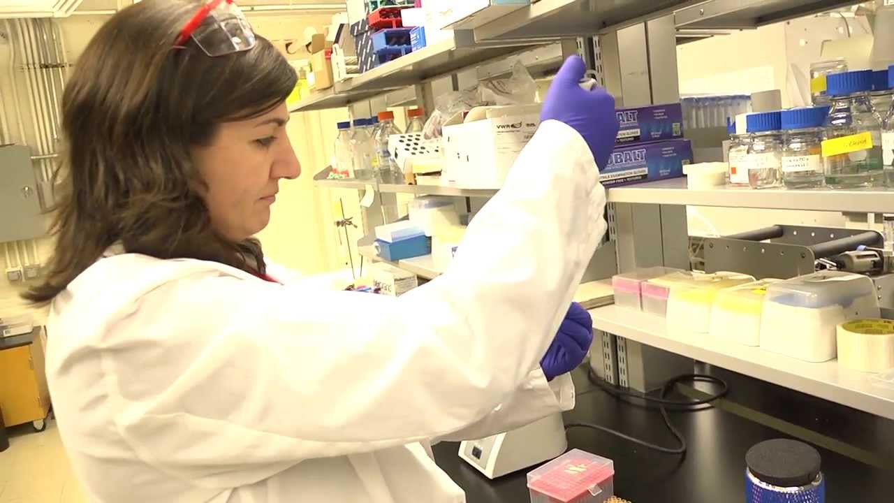 ACERT, Cornell University - Facilitating Modern Biochemistry, Biomedical and Biophysics Research