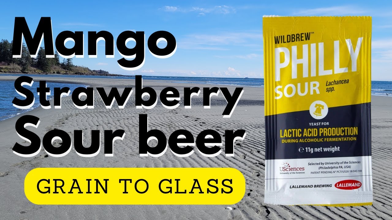 Brewing a mango strawberry using Philly sour yeast