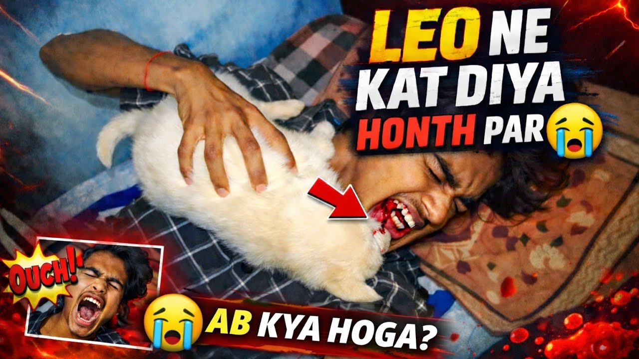 Leo ne kat diya hothon par 😰#dailyvlog #famlivlog 
