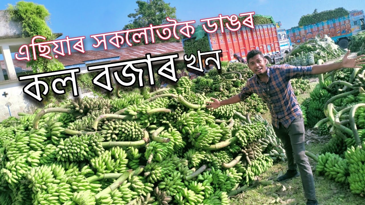 কম দামত কল লাগে যদি ইয়ালৈ আহক 🤨 || Asia Largest Banana Market ||