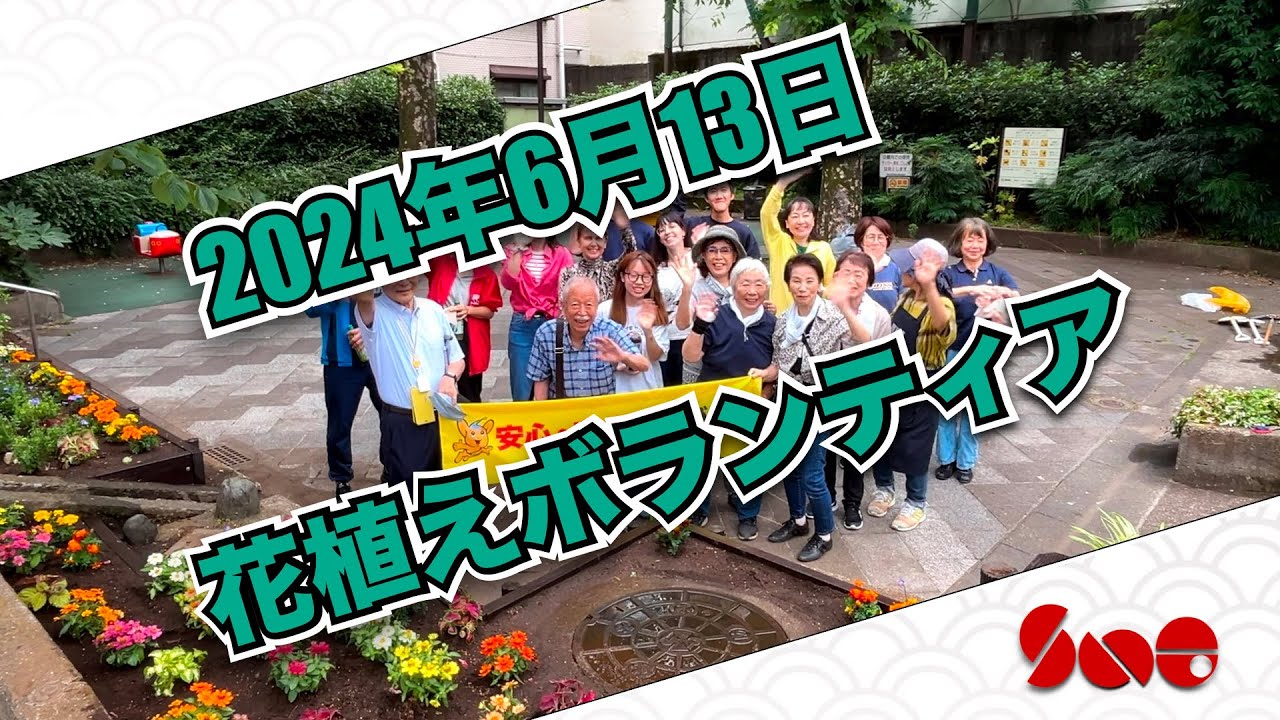 ２０２４年６月１３日町内会 花植えボランティア // flower planting voluntaria