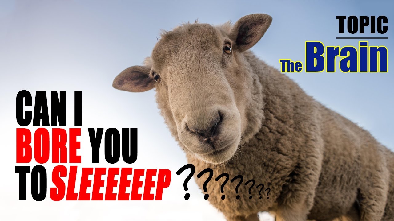 BORE you to sleep talking about the BRAIN (Human voice, not AI)
