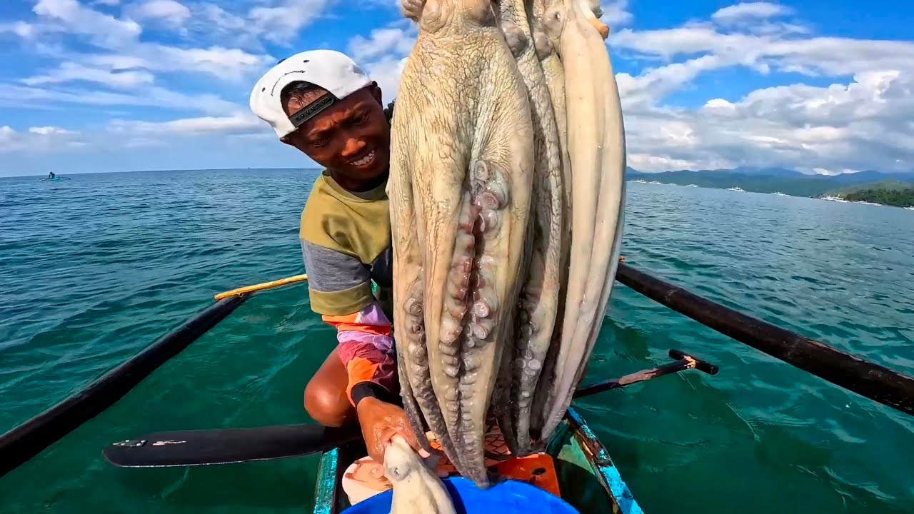 Amazing Giant Octopus ! Catch And Sale | Magkano aabutin ?