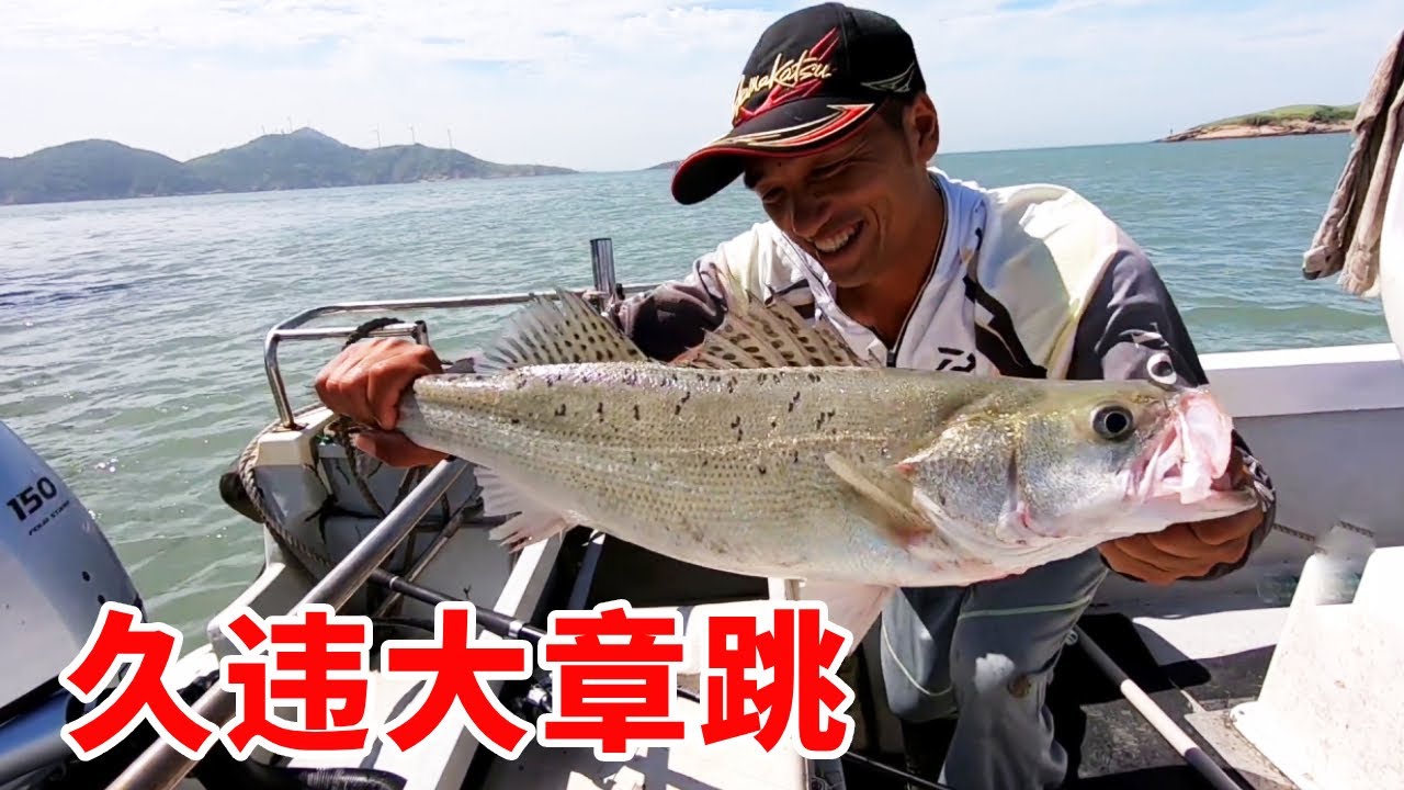 阿杰风后出海钓鱼和捡螺两不误，又遇见久违的大章跳，能擒获吗【岛民阿杰】